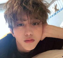 蔡徐坤头条爆料视频下载,独家下载与深度解读