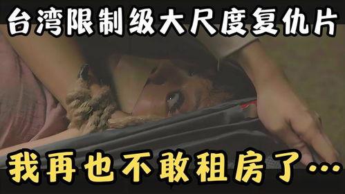 台湾限制影片在线观看,台湾地区在线观影限制政策解析